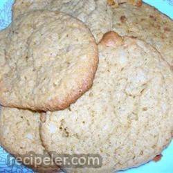aaron's chocolate chunk oatmeal cookies