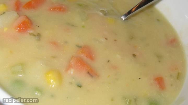 an's potato-vegetable soup