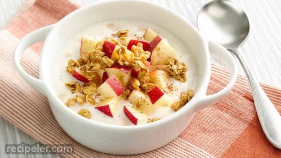 Apple Cinnamon Crunch Yogurt Bowl