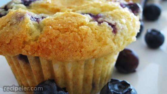 Aunt Blanche's Blueberry Muffins
