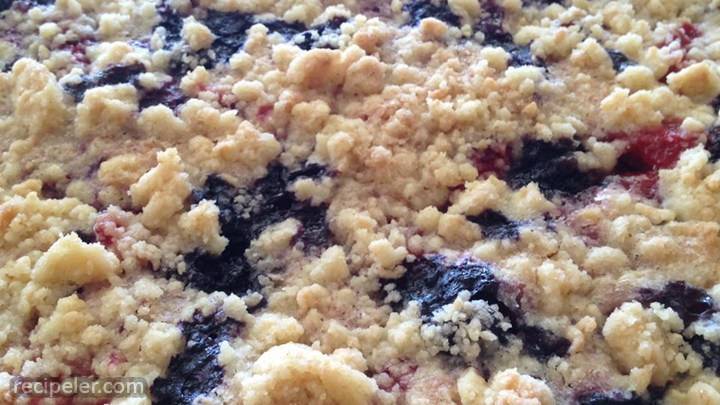 Berry Crumb Bars