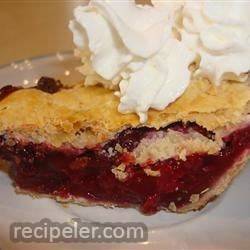 blackberry-chocolate chip pie