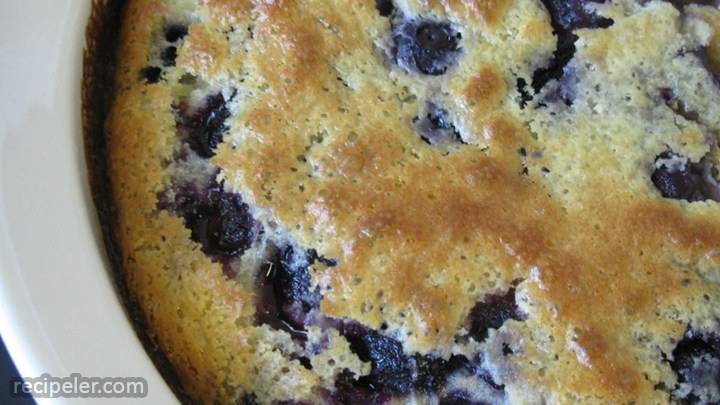 Blueberry Custard