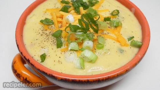 Brett's Slow Cooker Loaded Baked Potato Soup