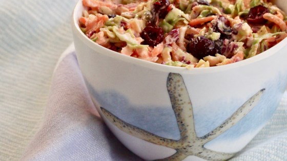Brussels Sprout Slaw With Cranberries
