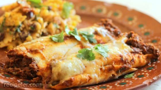 Carne Asada Enchiladas