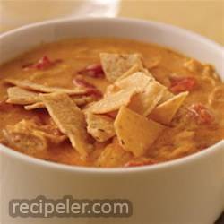 Cheesy Tortilla Soup