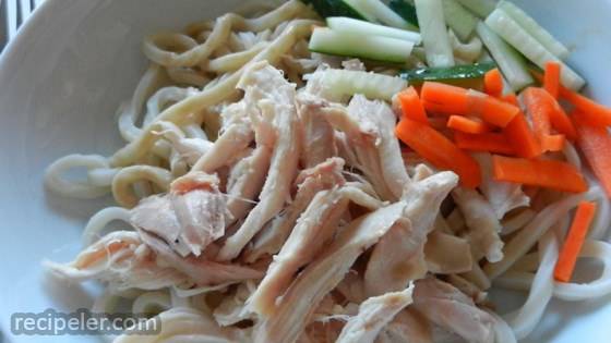 Chicken and Cold Noodles with Spicy Sauce