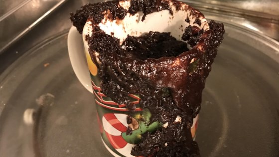 Chocolate Cake In A Mug