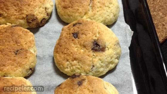 Chocolate Chip and Cranberry Scones
