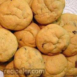 Chocolate Chip Cinnamon Cookies