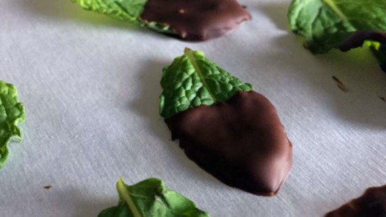 chocolate-covered mint leaves