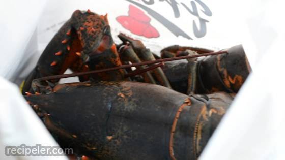 Chocolate Lobster