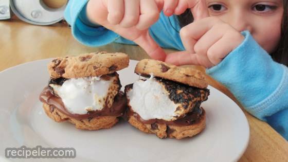 Chocolate Overload S'mores