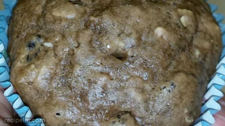 Chocolate Raisin Oatmeal Muffins