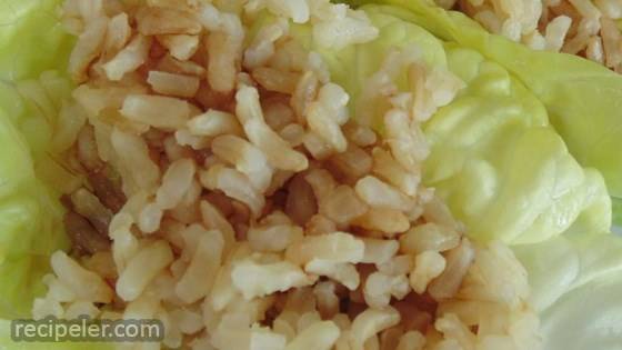 Easy and Simple Vegetarian Lettuce Wraps