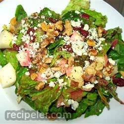 Fall Salad with Cranberry Vinaigrette