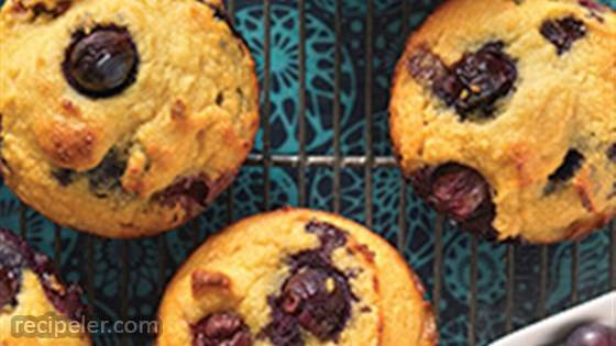Gluten-Free Blueberry Muffins made with Coconut Flour