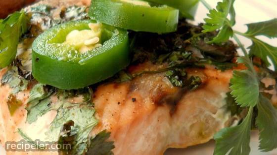 Grilled Salmon with Cilantro Sauce