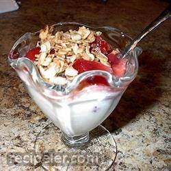 Homemade Plain Yogurt