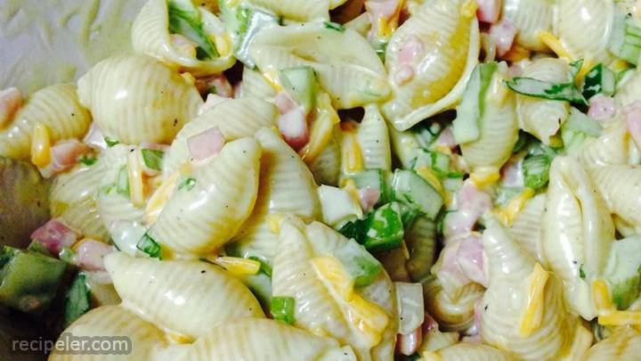 Macaroni Salad With A Twist