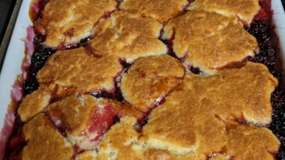 mellissa's grandma's blackberry cobbler