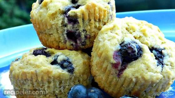 Melt-n-Your-Mouth Blueberry Muffins