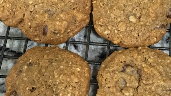 molasses carob chip cookies