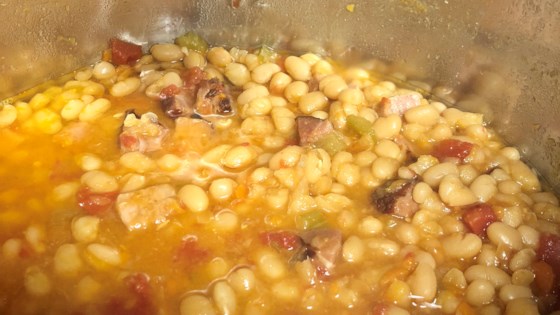 nstant pot® navy bean and ham soup