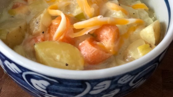 nstant pot® potato, leek, and carrot soup