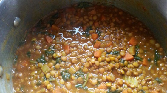 Persian Lentil Stew