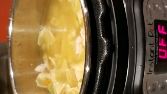 quick and easy nstant pot® chicken noodle soup