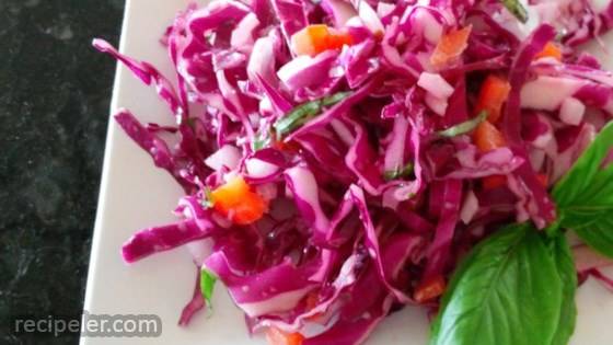 Red Cabbage Slaw with a Twist