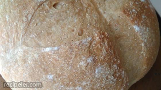 Rustic Whole Wheat Bread