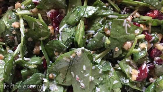 Simple Cranberry Spinach Salad
