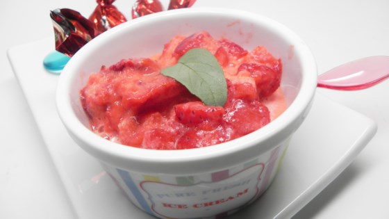 Simple Strawberry Sherbet