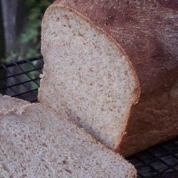 spent grain wheat bread
