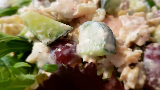 Stacy's Greek-nspired Tuna Salad