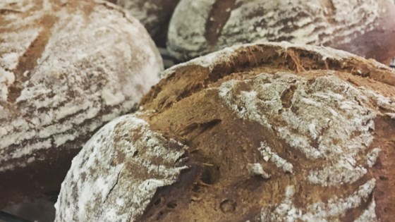 swedish limpa rye bread