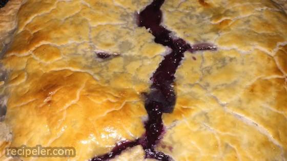 Ultimate Gooey Blueberry Pie