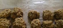 applesauce oatmeal cookies