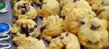 Easy Thanksgiving Cookies
