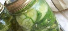 Homemade Refrigerator Pickles