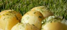 lengenberg's boiled potatoes
