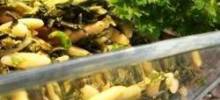 Mediterranean Orzo Spinach Salad