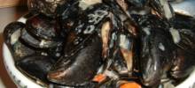 mussels moorings style