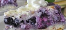 nova scotia blueberry cream cake