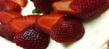petra's strawberry shortcake