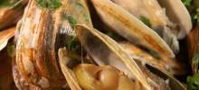 scott ure's clams and garlic