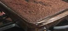 sourdough chocolate cranberry cake